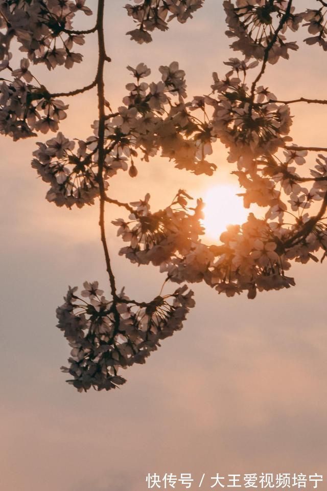 空青#韩愈很深情的一首诗,写在去潮州的路上,短短4句感人至深