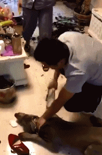 真皮|“有人敢卖,有人敢买,搞笑留言买家才是真皮!”