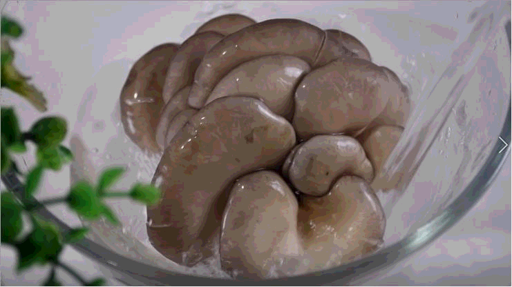 “炸蘑菇”怎么做才好吃?教你特色做法,干香焦脆不回软,比肉香