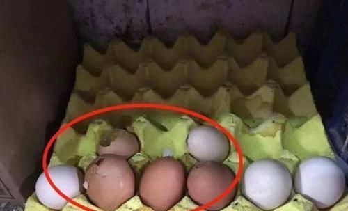 安全意识|4岁孩子超市摔碎鸡蛋,店员要求10倍赔偿,宝妈的做法令人称赞