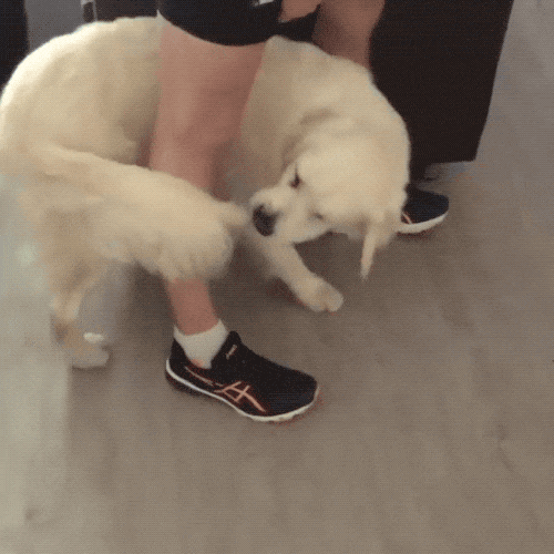 |幽默笑话:什么罩杯?