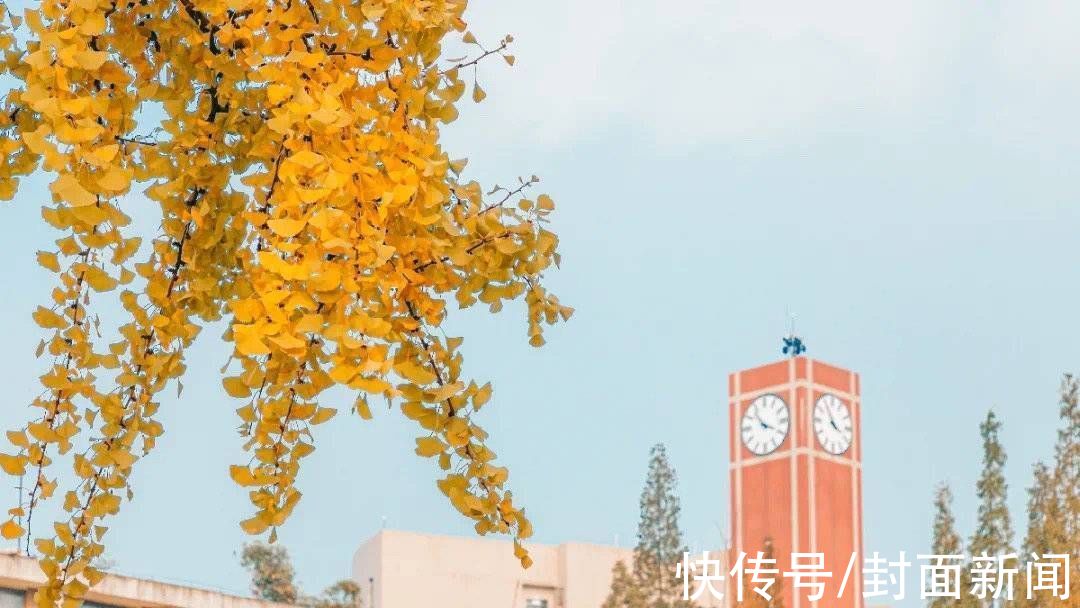 成都信息工程大学|多图警告｜数数川内高校到底承包了多少棵银杏树？