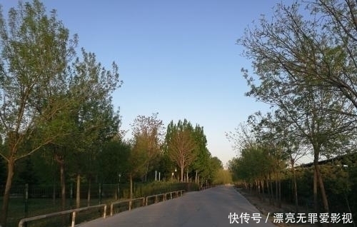 心肺|平时极少锻炼的中年男士,突然跑步你觉得他一气能跑多远