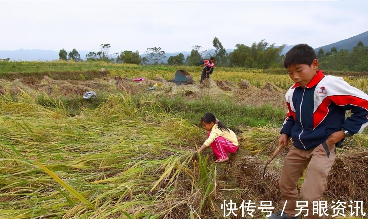 男孩女孩|“宁愿要2个儿子,也不要1个女儿”,90后宝妈这番话,很现实