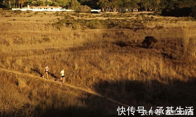 糖原|坚持跑步,为什么没有瘦下来终于找到原因