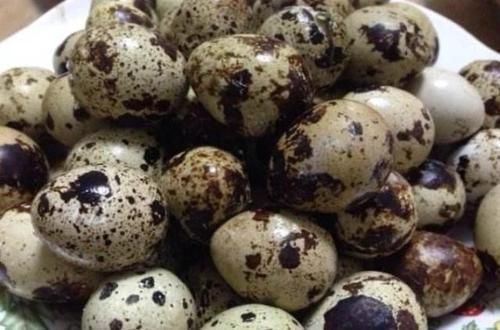 父母|以下零食,孩子经常吃或会头脑聪明个子高,但很多父母却不了解