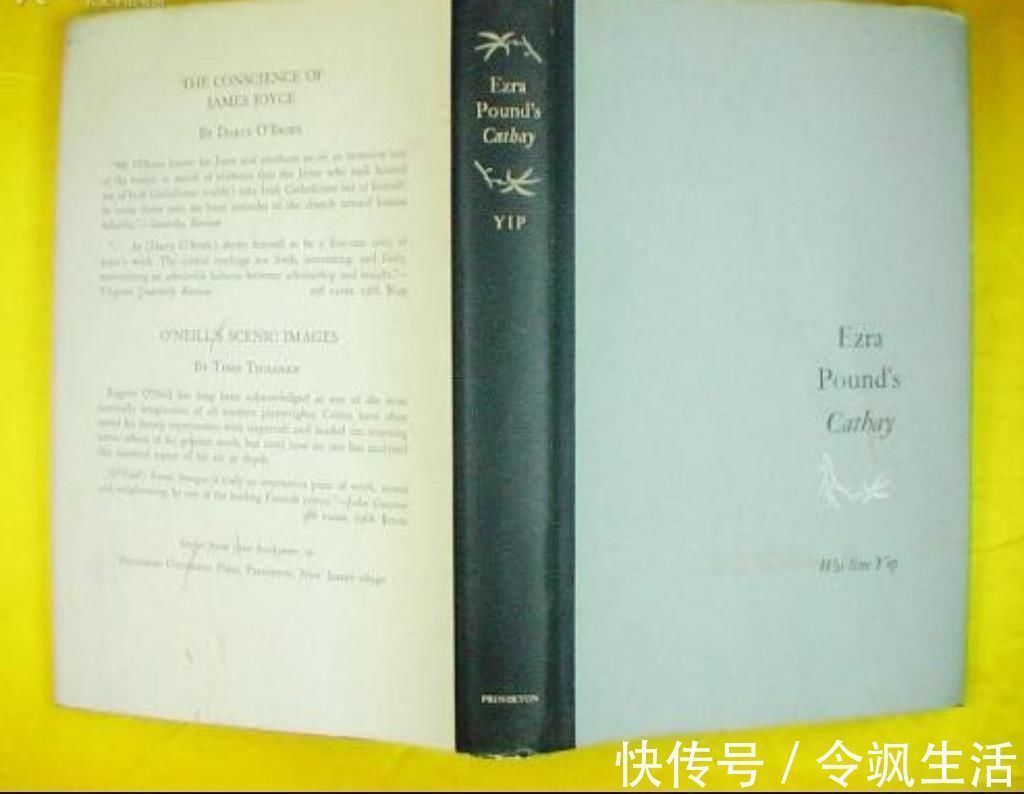 意象派|暗黑讽刺动画，天空下起美食雨，村民爆吃24小时后成了亿万富翁