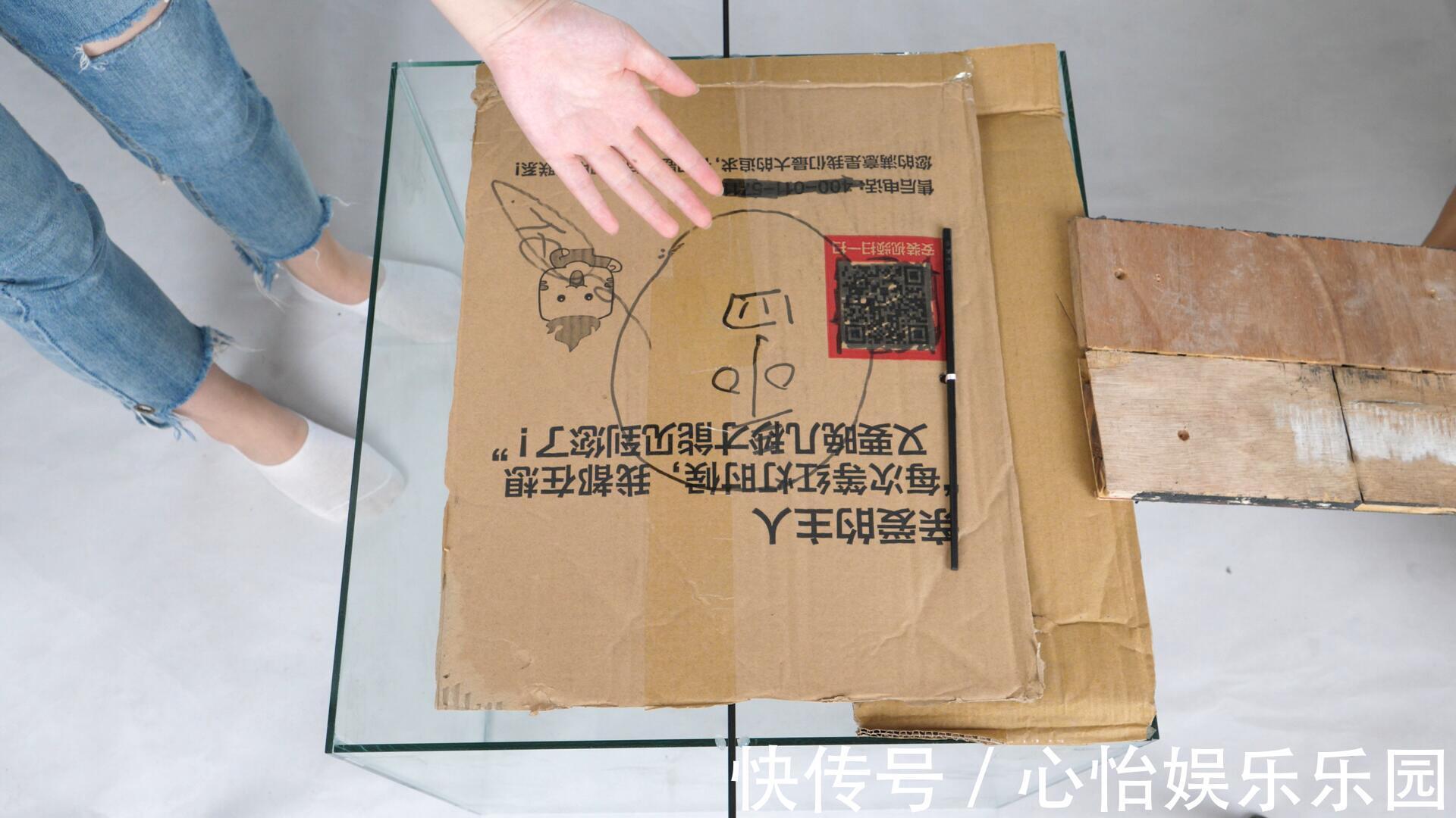 玻璃缸|家里有老鼠别急,把它放角落里,来多少抓多少,好方法简单实用