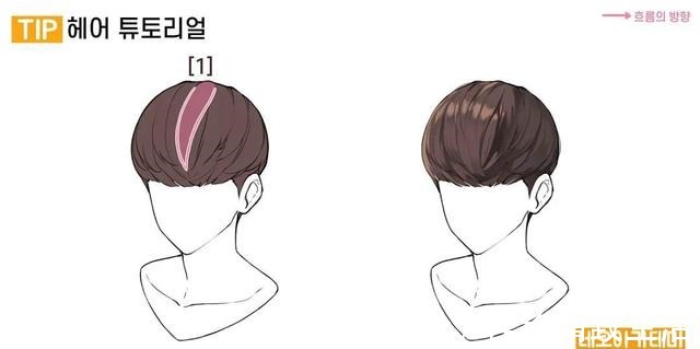 绘画 「绘画素材」多种人物发型画法参考!告别呆板发型~!