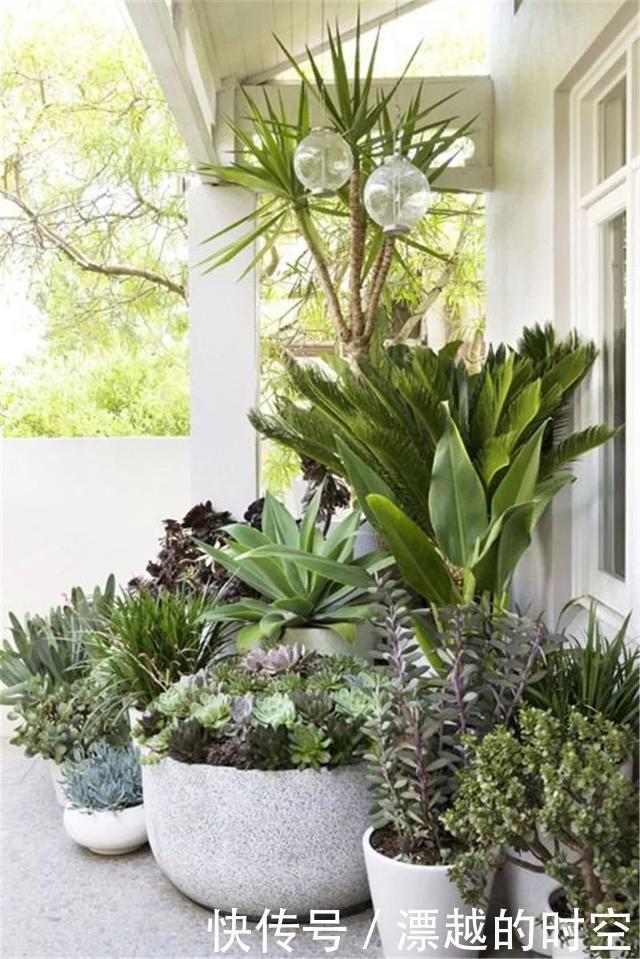 养花|夏天养花,别做几种“险事”,避免养一盆烂一盆