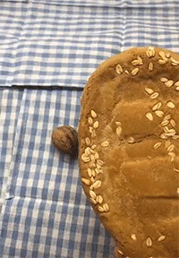 |搞笑GIF:我的手太小了,真的抓不紧,下次不来玩了!