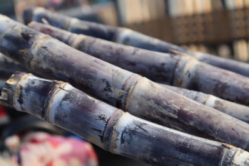 中年|漫游石家庄的户外美景地：正定景观路上的明曦湖