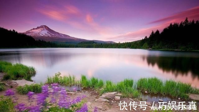 天仙子&北宋词人醉后睡醒,写下一首伤春词,其中七字惊艳世人