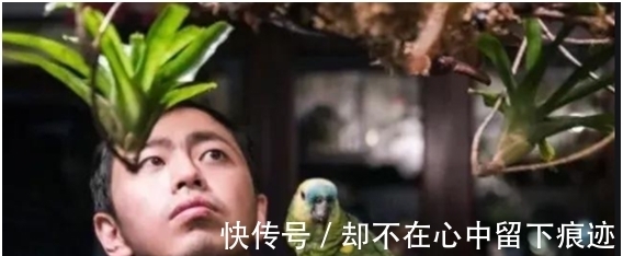 “水哥”王昱珩：2个月逆袭上清华，从未打过工，他把生活过成诗