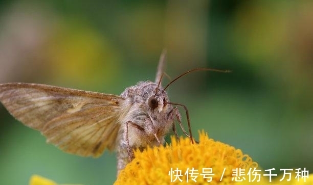 旺财旺|还有四周，三大生肖旧爱回归，兜兜转转，遍地生情，真情动人