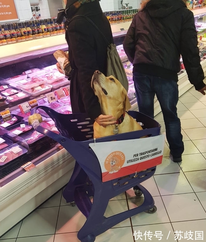 我们的生活|50个人性的国外设计,日本卫生间设计得太贴心,再也不怕丢东西