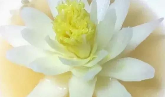 开水|白菜也吃不起？开水白菜“平淡无奇”，看到开水浇上的瞬间：不愧是国宴美食