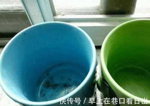 筷子|家里有孩子的注意，这些“毒素”开水都烫不死，你的家里有吗？