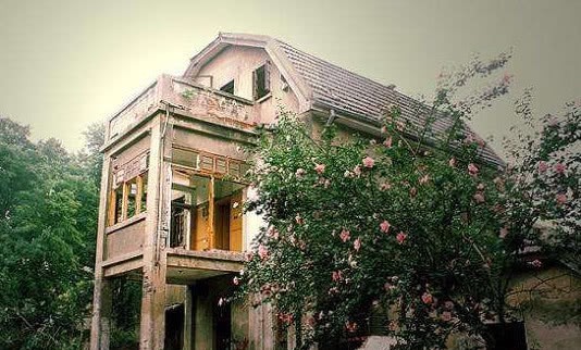 吕碧城|民国才子于她,无一人能入眼:女子自立自强,独身亦是幸福