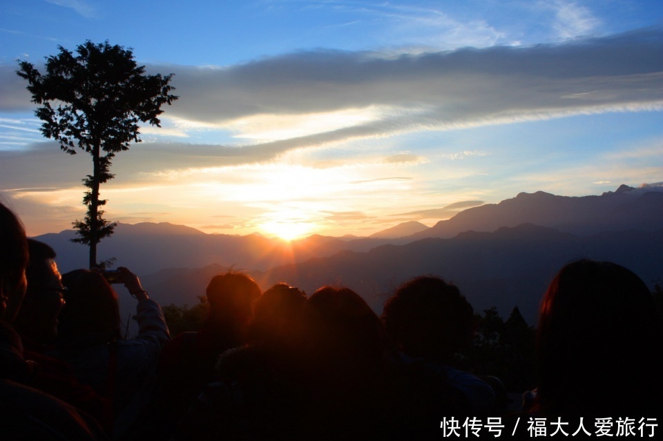 十几人|亚洲树王2300岁高龄，就在阿里山，需十几人才能合抱