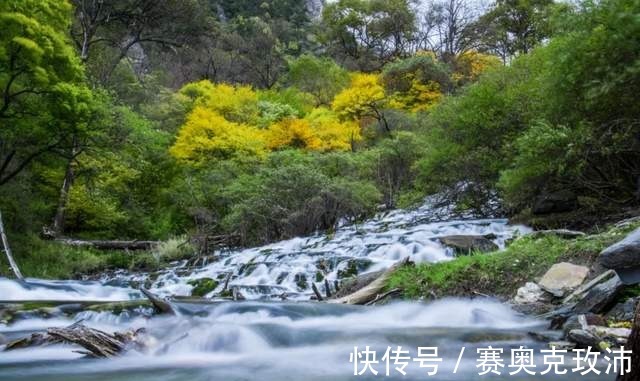 海子|「松坪沟」青山绿水避暑纳凉