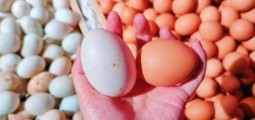 营养师|买鸡蛋时,买红壳好还是白壳好当营养师讲完后,许多人都后悔了
