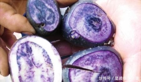 它是紫薯的“兄弟”,“花青素”比蓝莓还多,不懂吃太可惜了!