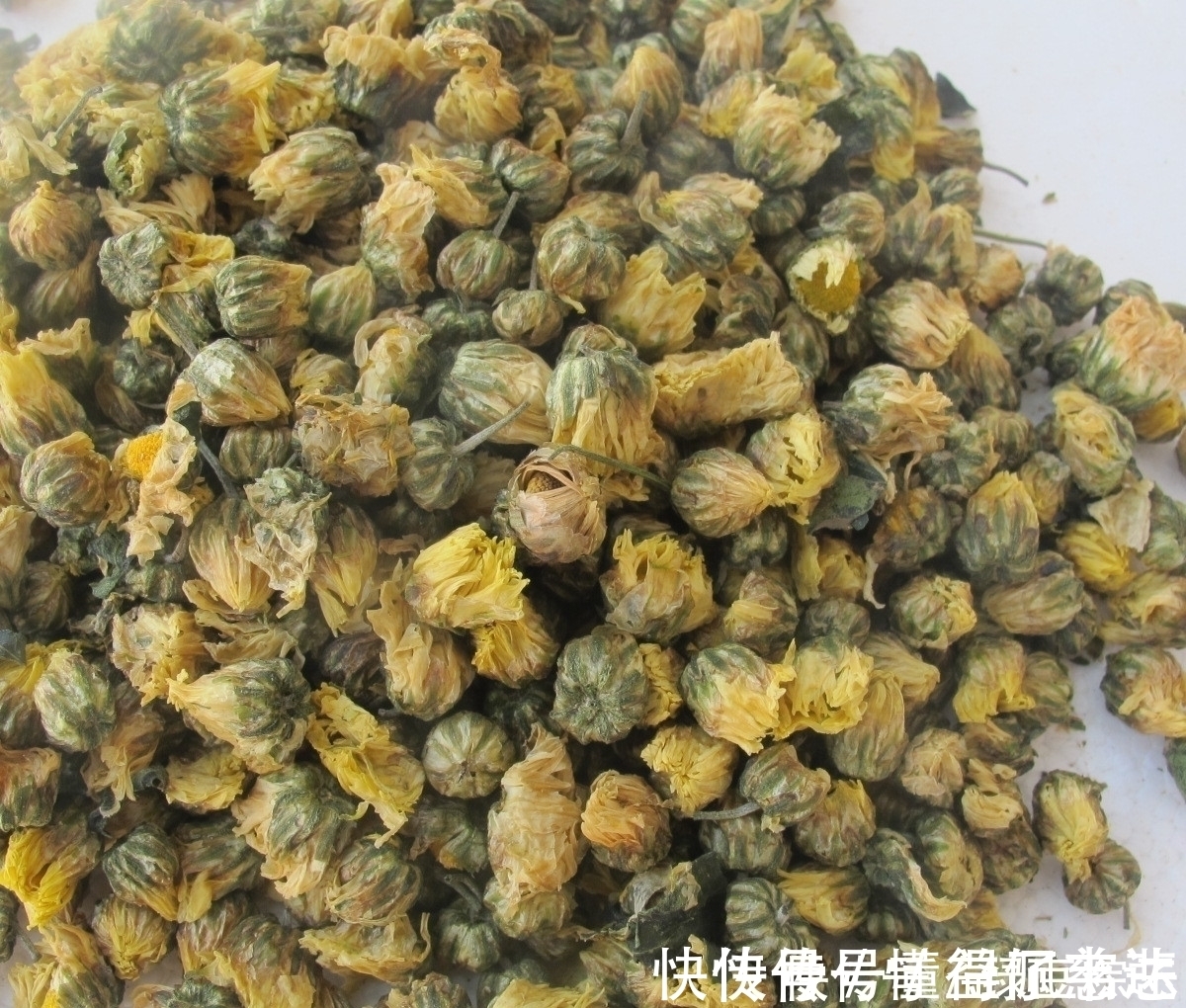 明目|泡枸杞多加这“1味”,明目护肝又排毒,给身体来个大扫除