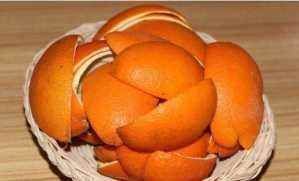 养花用果皮,直接扔盆里,7天长新芽,不怕养不活