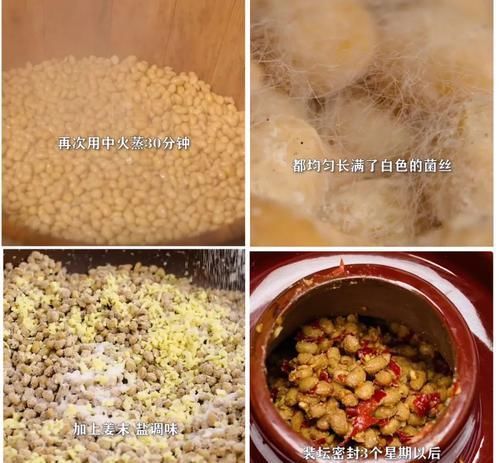 脾胃|4個(gè)老祖宗流傳已久的“土食”，補(bǔ)脾健脾調(diào)脾，養(yǎng)好脾胃百病難侵