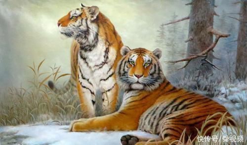 虎王|属虎人若出生在这几月，天生“虎王”命，尤其是74、86年大老虎!