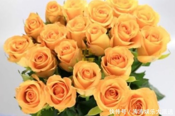 花瓣|喜欢菊花,不如养“高端玫瑰”假日公主,金色花瓣,熠熠生辉