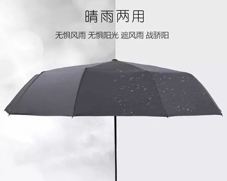 伞面|晴天雨天暴雨天，有ta天天都是艳阳天！