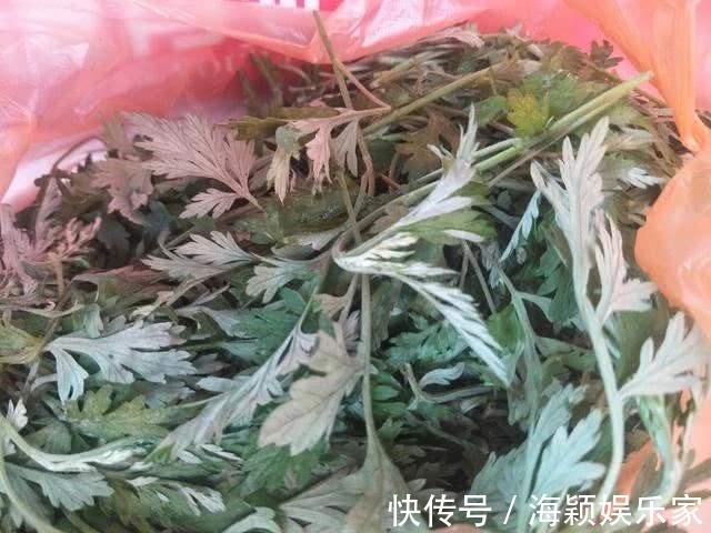 治療|“七年之病，求三年之艾”別理解錯了，用對艾葉也能通十二經絡