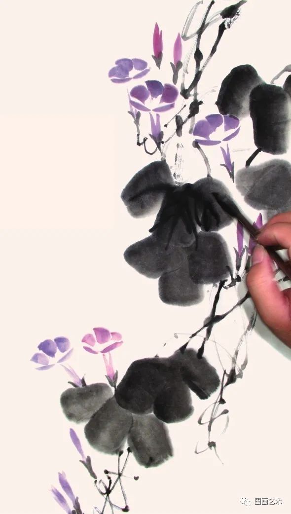 浓淡！图文教程——轻松学画喇叭花