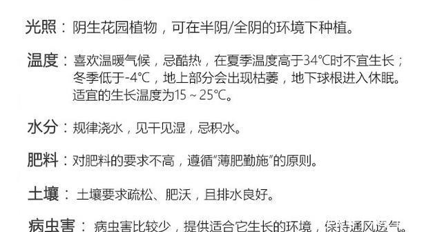 阴生花园的福音,美如新妇的落新妇!