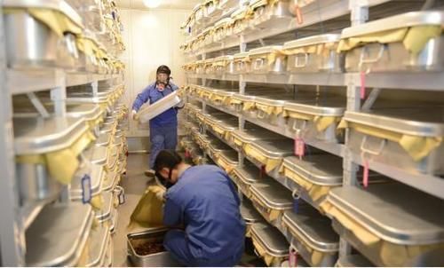 特别|在国外是米其林的前菜,在国内却常遭“吐槽”,网友请善待它