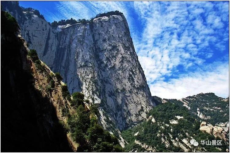 西峰|华山西峰——石叶上覆而横裂，如荷花