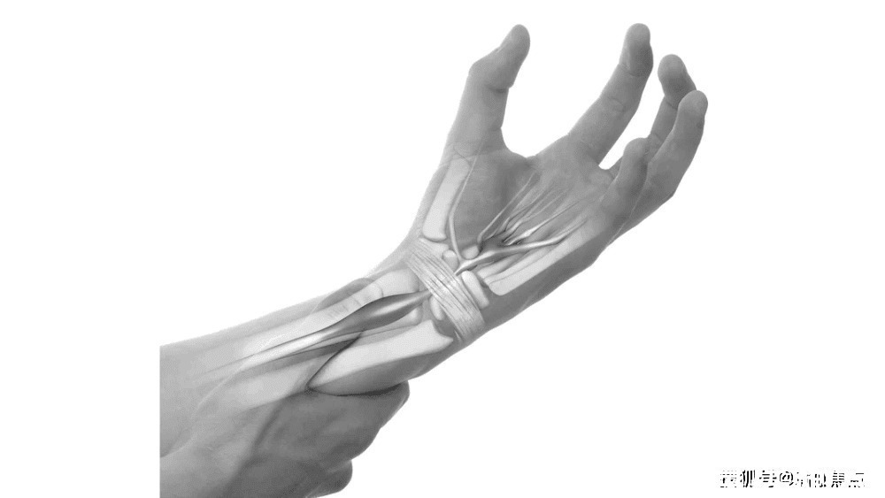 肩膀|练瑜伽好处虽多,但需注意这些部位避免受伤