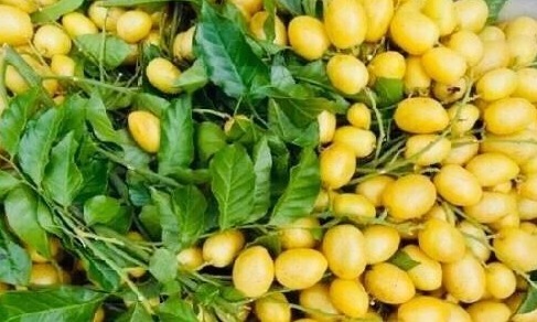 子宫|一行秋雨一场寒,咳嗽感冒高发期,多食用此“治病果”!