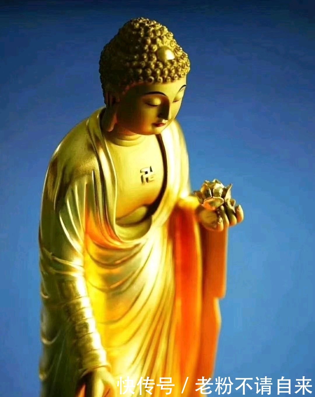 佛教:南无阿弥陀佛怎么读?它是什么意思?