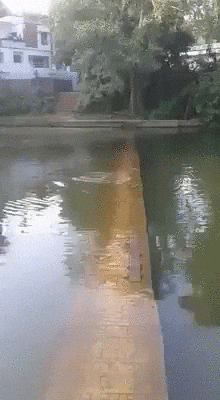 搞笑|搞笑GIF:兄弟,你该下高速了