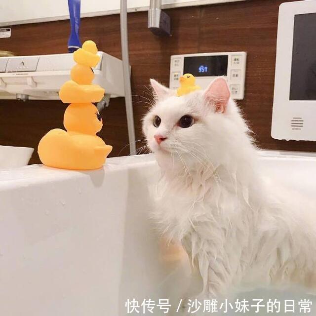 |幽默笑话: 我眼一直近视,老婆说我戴眼镜不好看,所以一直没配眼镜。