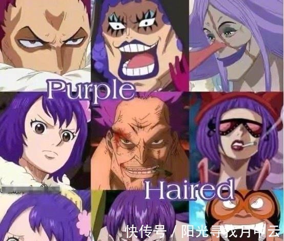 紫发|海贼王五种发色强者,紫发最弱,黑发排第二,白发最强
