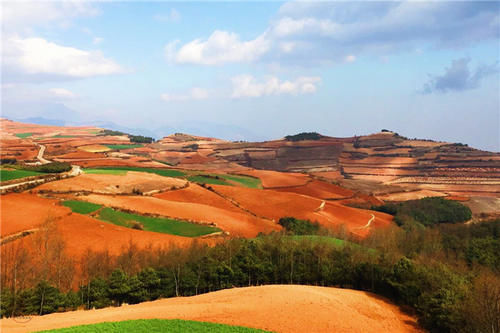 走进东川打马坎村，欣赏七彩坡和锦绣园，美丽的田园风光