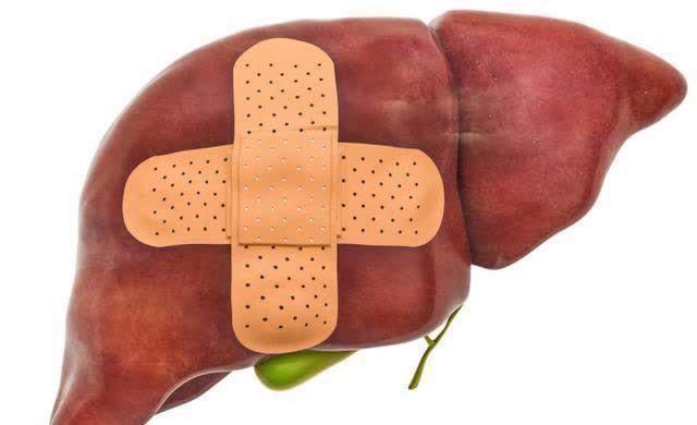 牛蒡根|肝病多是“吃”出来的,尽量远离这几种东西,这“一茶”尽量常喝