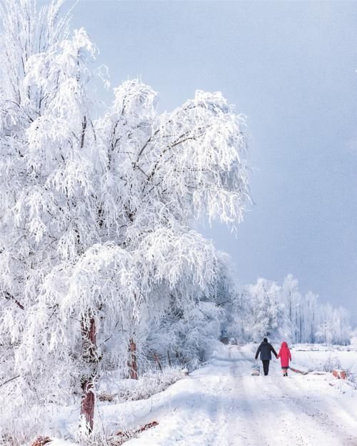 花样|【图说新疆】新疆伊犁河谷：雪中最美是雾凇