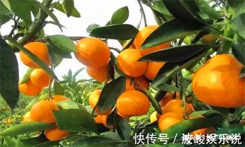 排毒|秋天到了,适合常吃4种食物,排毒清肠,刮油消脂、增强体质