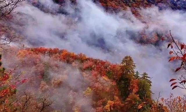 崆峒|找寻秋日的第一抹颜色！接下来的崆峒山会变得越来越……