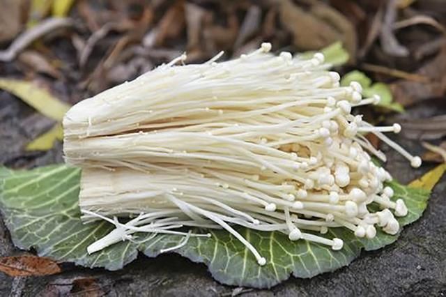  教你几道特色家常菜，做法简单上档次，来客人端上去特别有面子